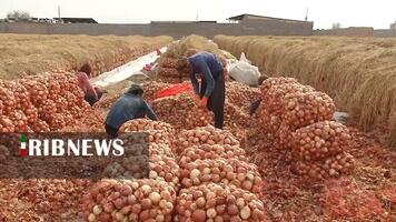 پیام سپاهان