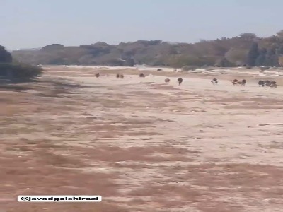 زاینده‌‌رود تبدیل به پیست اسب‌‌سواری شد