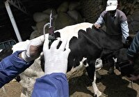 پیام سپاهان