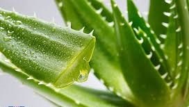 پیام سپاهان