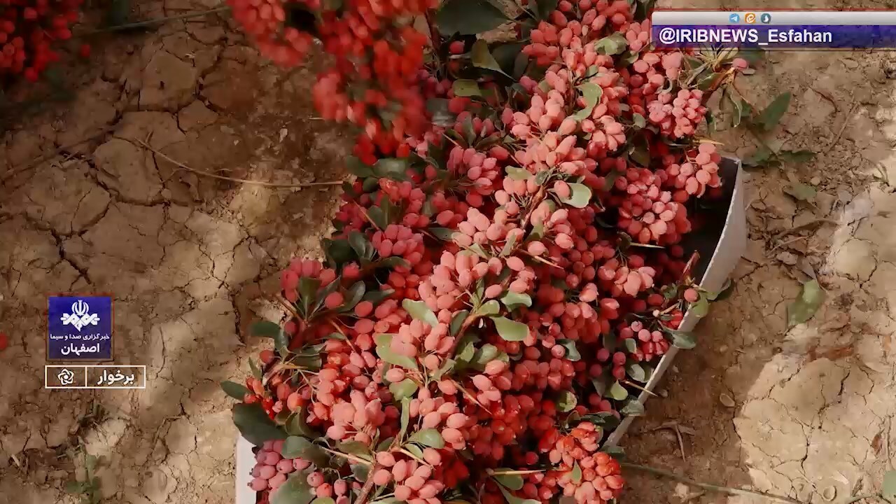 پیام سپاهان