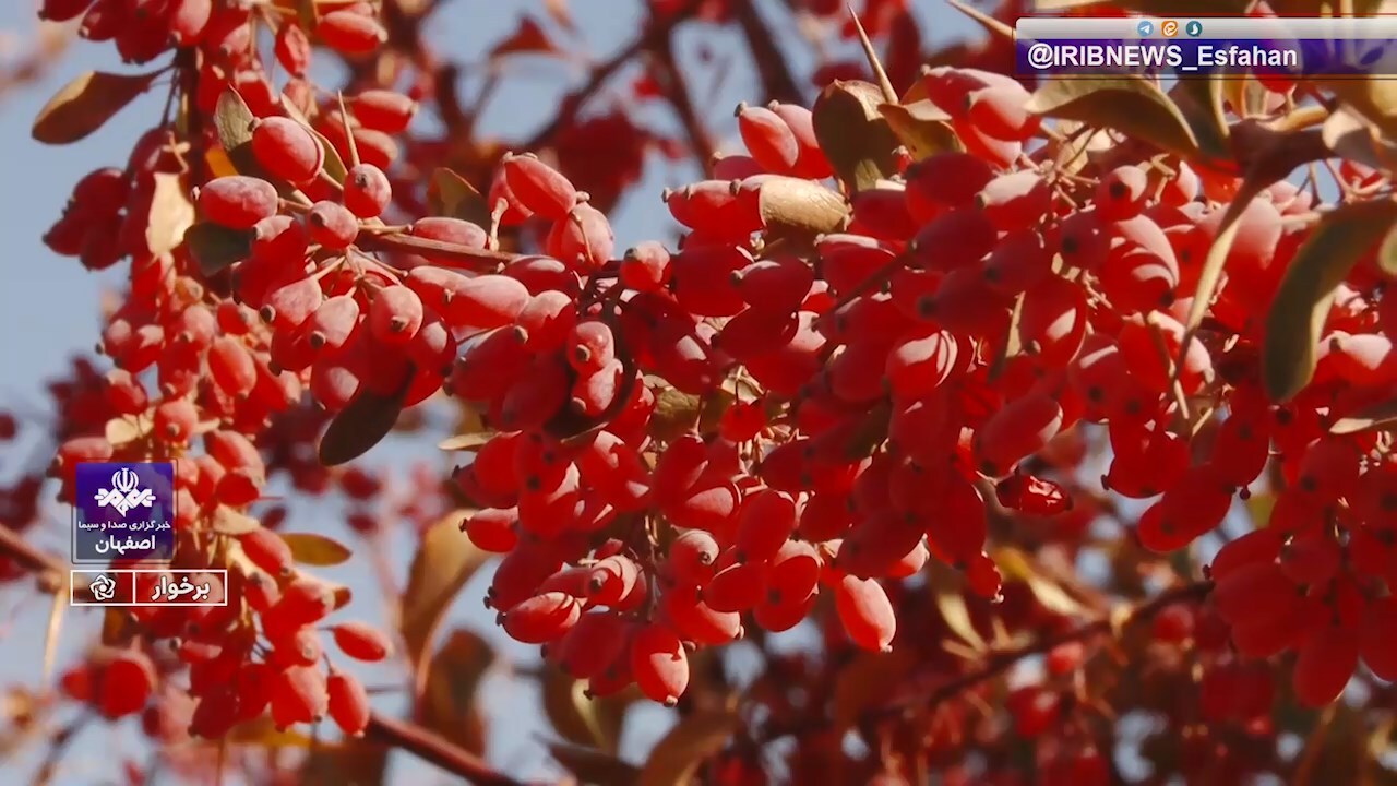 پیام سپاهان