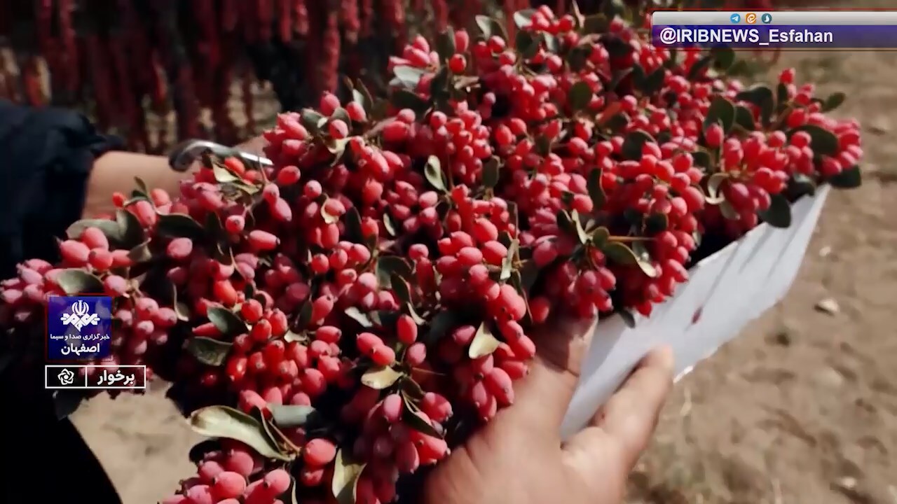 پیام سپاهان