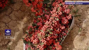 پیام سپاهان