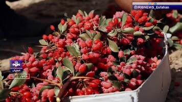 پیام سپاهان