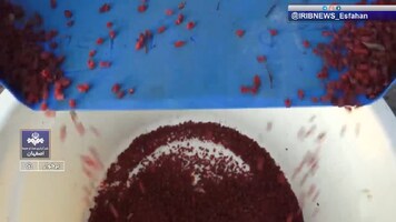 پیام سپاهان