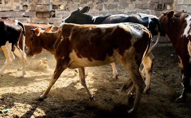 پیام سپاهان