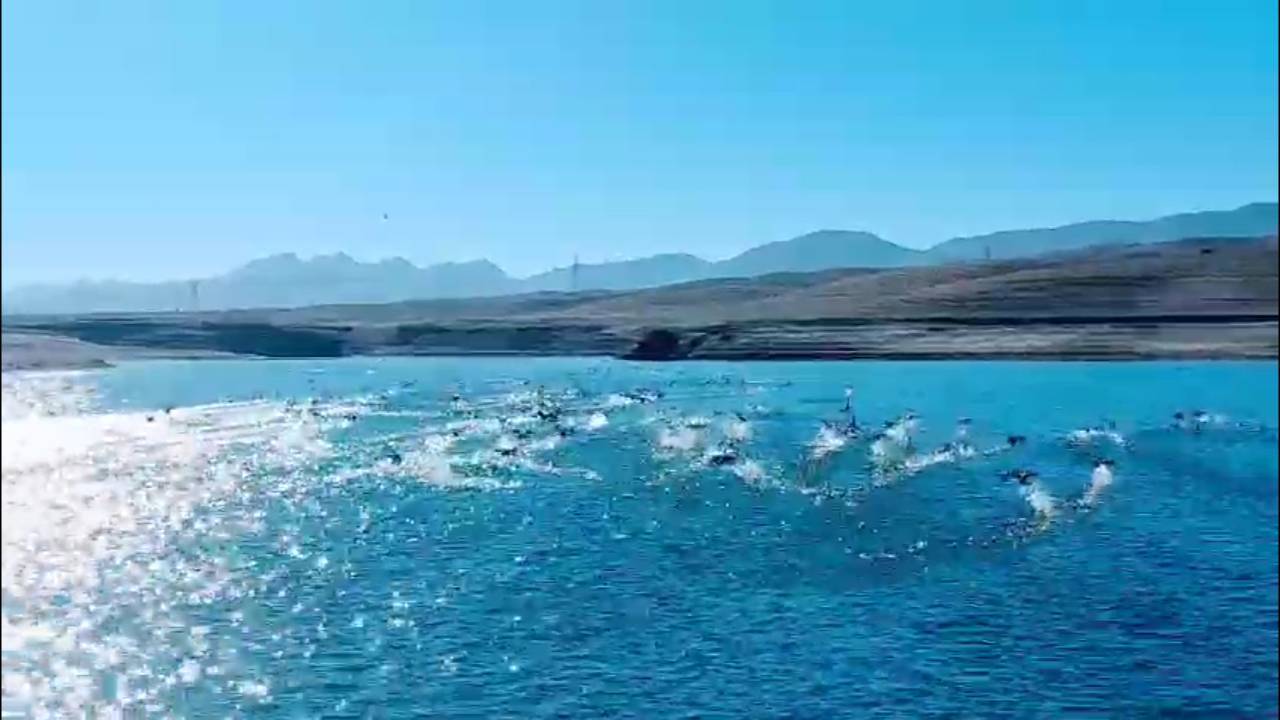 پیام سپاهان