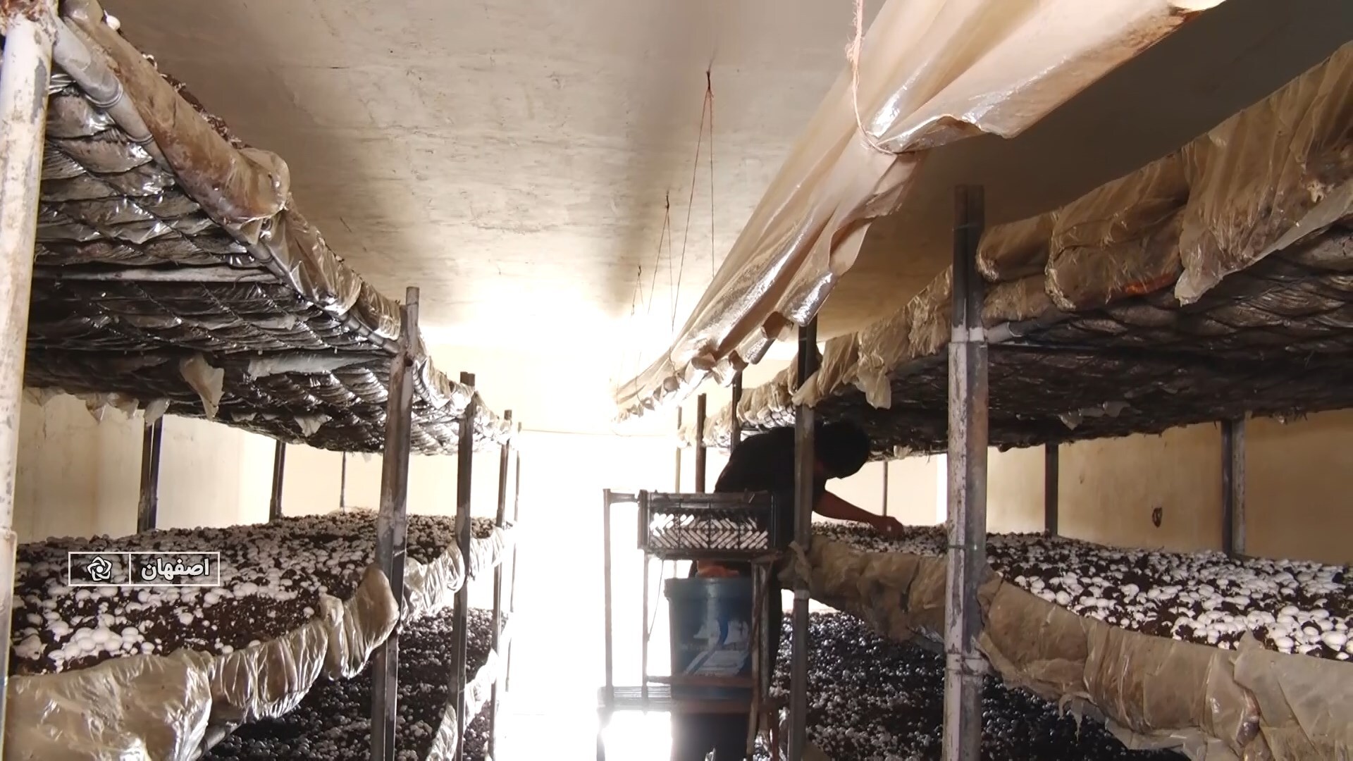 پیام سپاهان