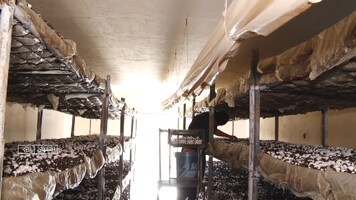 پیام سپاهان