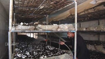 پیام سپاهان