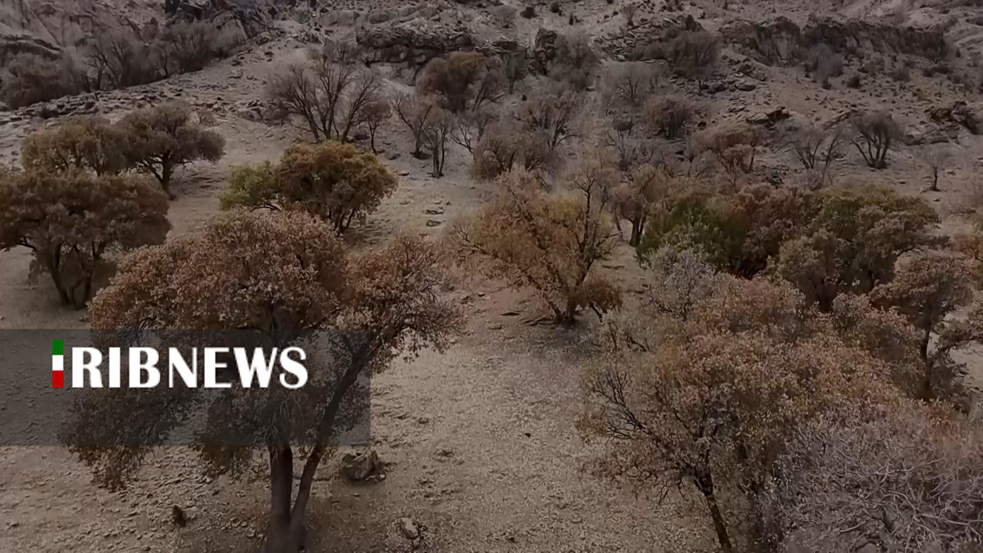 پیام سپاهان