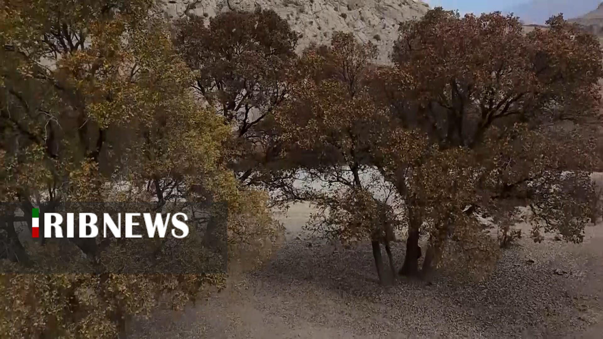 پیام سپاهان