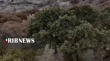 پیام سپاهان