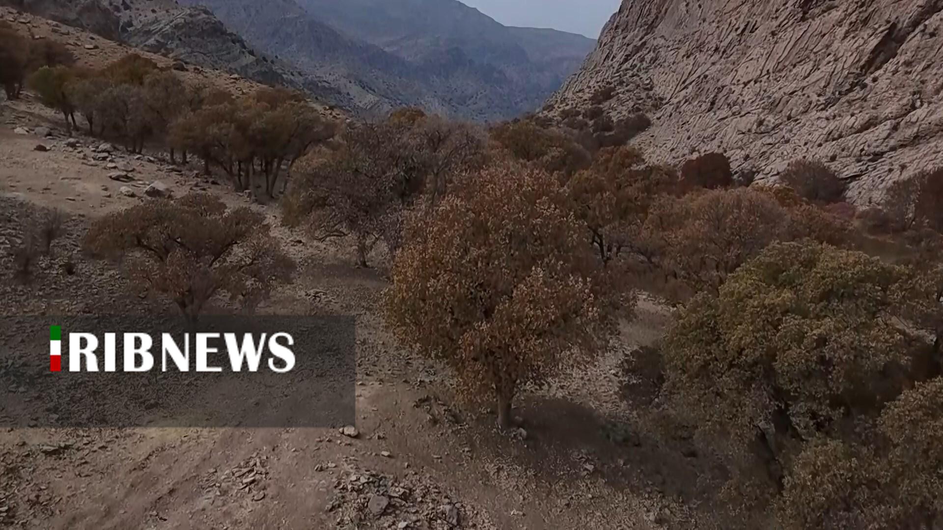 پیام سپاهان