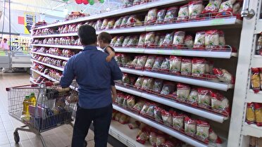 از اجرای طرح یسنا تا پیگیری زمین به مشمولان طرح جوانی جمعیت