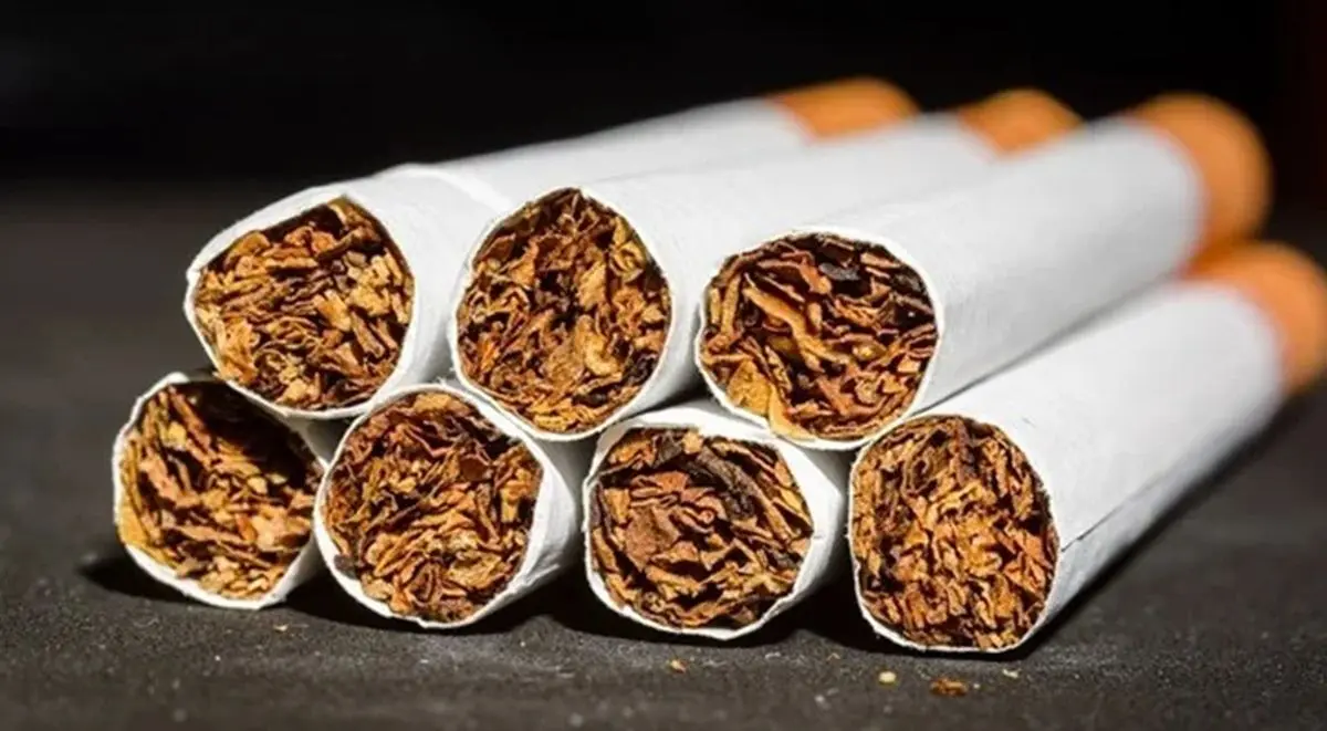 درآمد مالیاتی دولت از فروش و مصرف سیگار،۱.۶ برابر مالیات مسکن شد