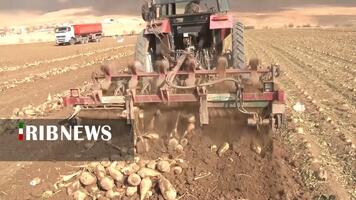 پیام سپاهان