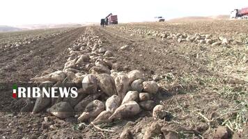 پیام سپاهان