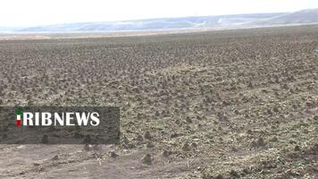 پیام سپاهان