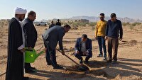 غرس ۲۰ اصله نهال در خور و بیابانک