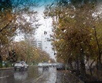 باد و باران در راه است