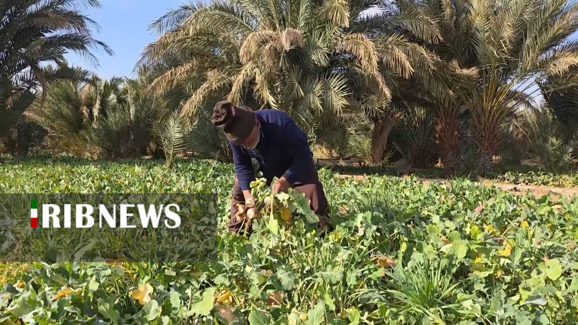 پیام سپاهان