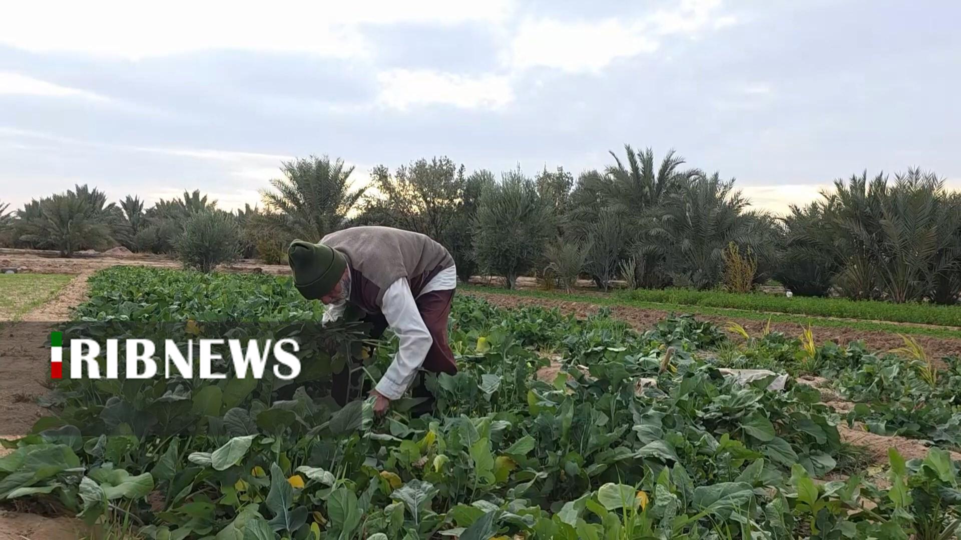 پیام سپاهان