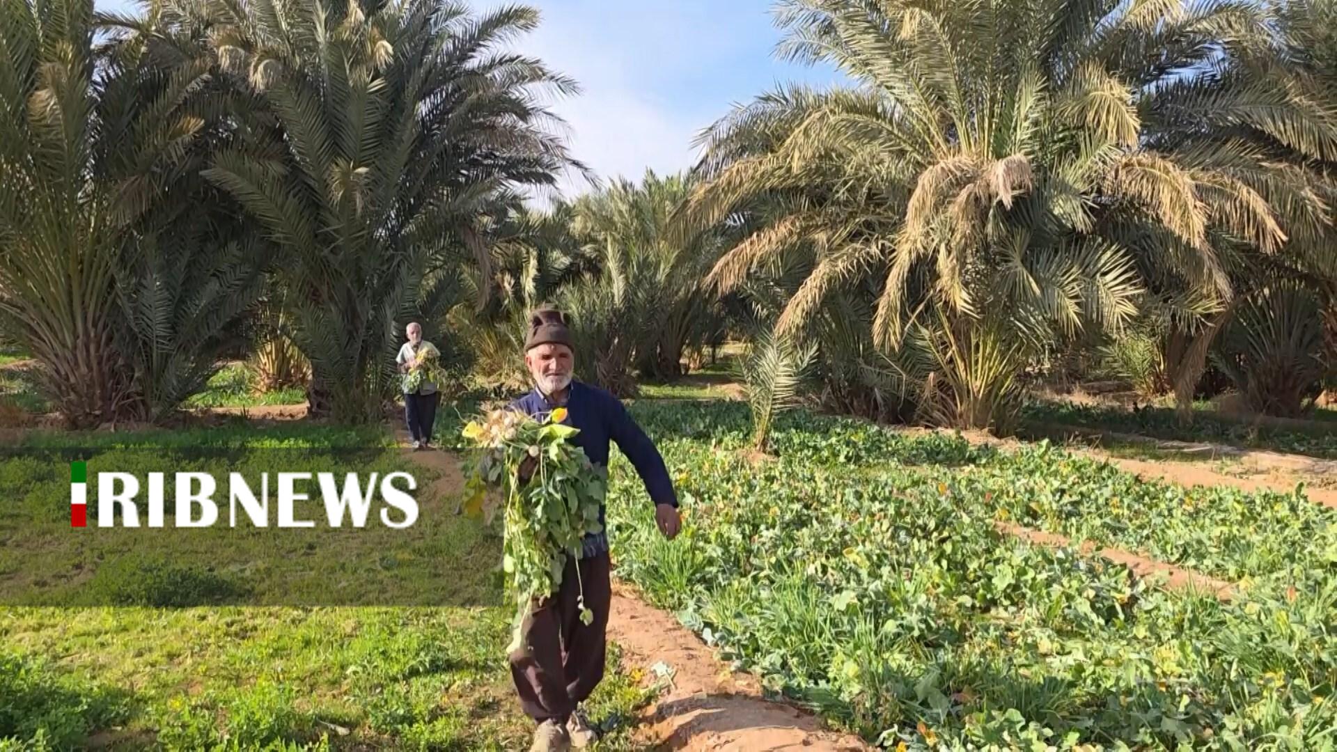 پیام سپاهان