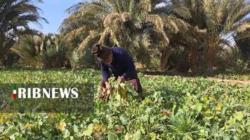 پیام سپاهان