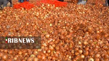 پیام سپاهان