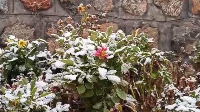 پیام سپاهان