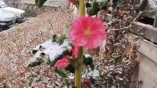 پیام سپاهان