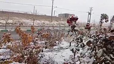 بارش های پاییزی در غرب وجنوب استان