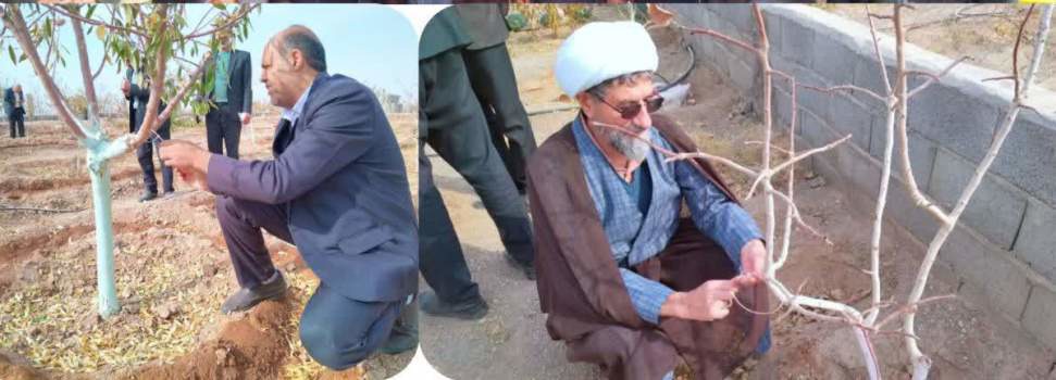 آغاز اجرای طرح شجره طیبه برای ترویج زکات مستحبی