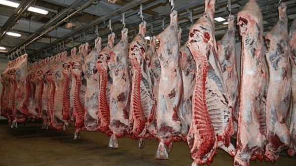 انهدام باند بزرگ توزیع گوشت‌های آلوده در اصفهان