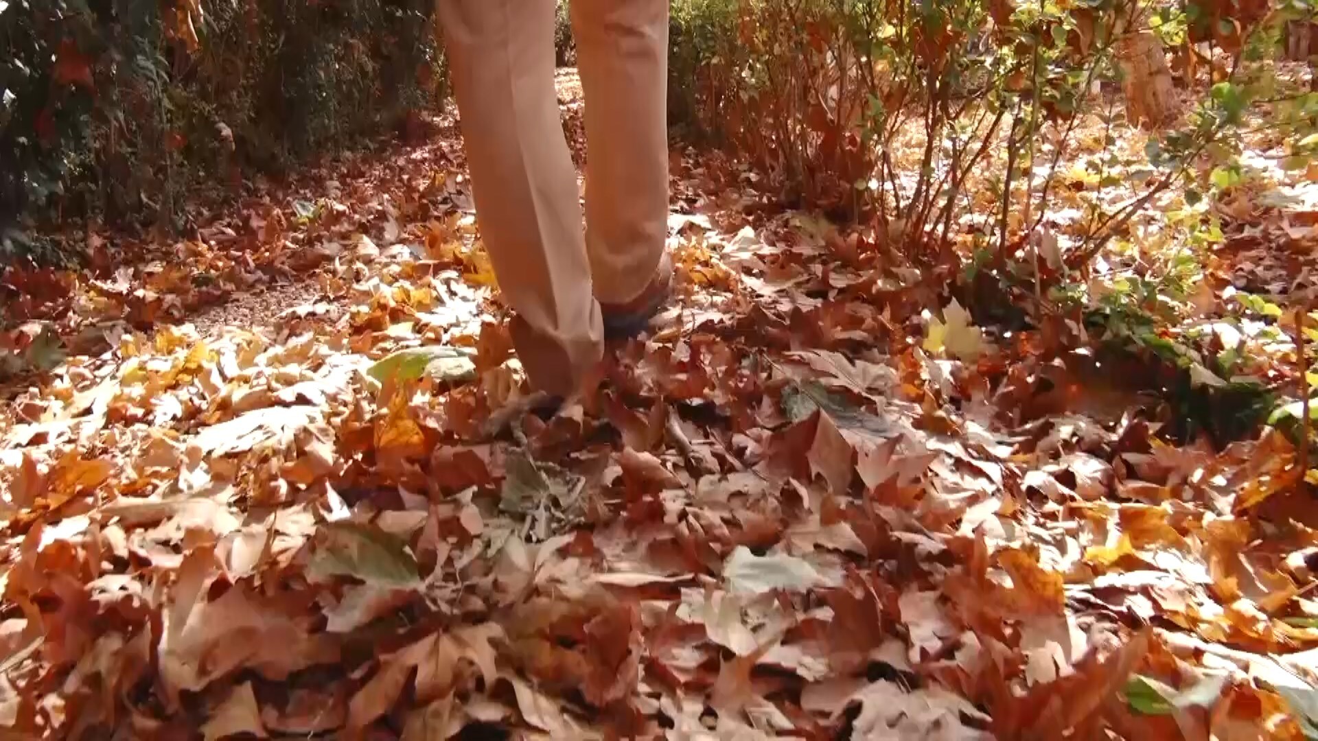 پیام سپاهان