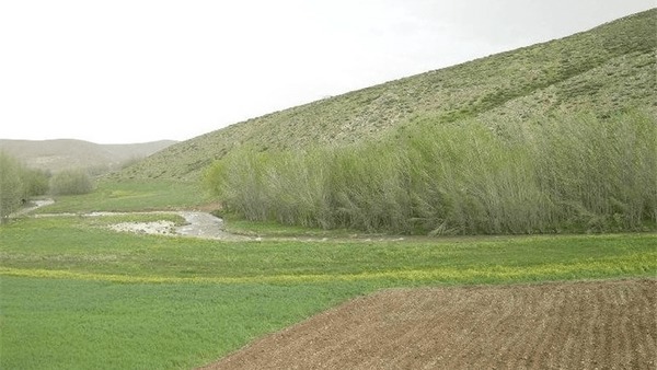 سنددار شدن ۹۹ درصد از اراضی ملی چادگان