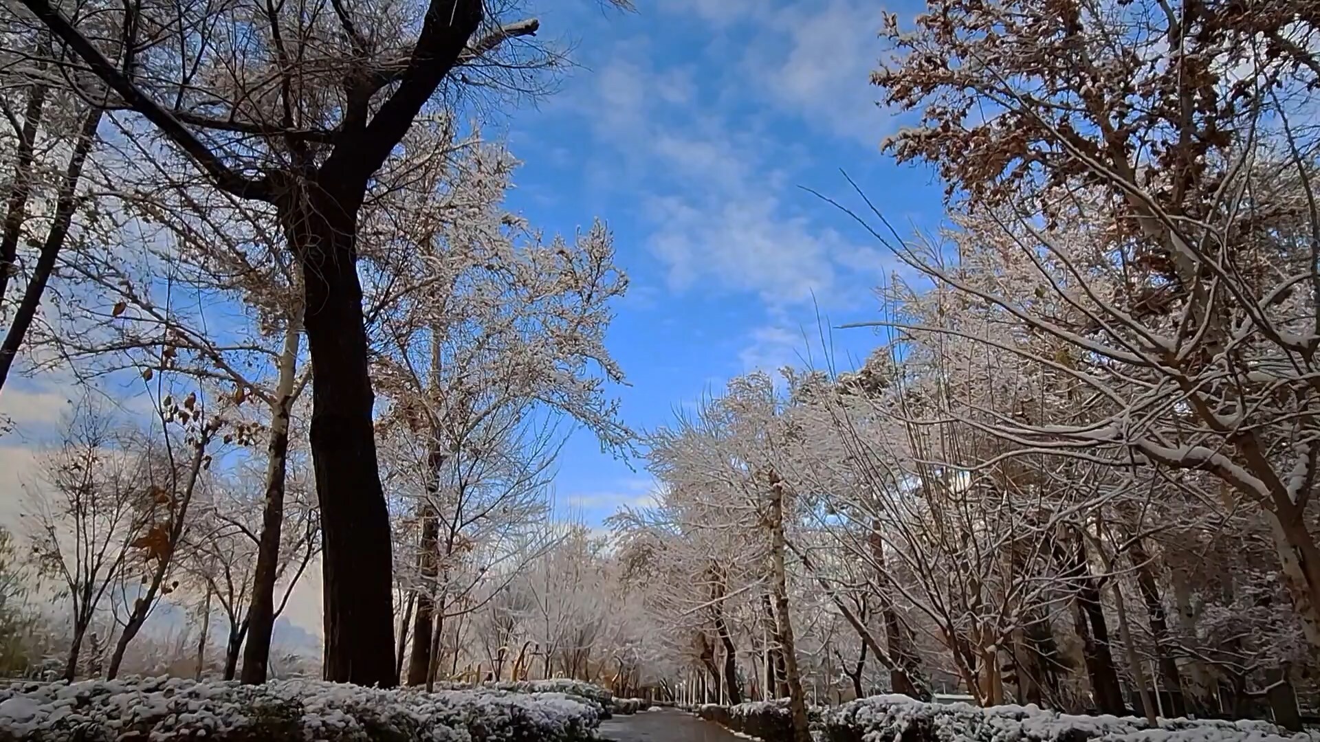 پیام سپاهان