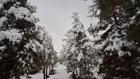 پیام سپاهان