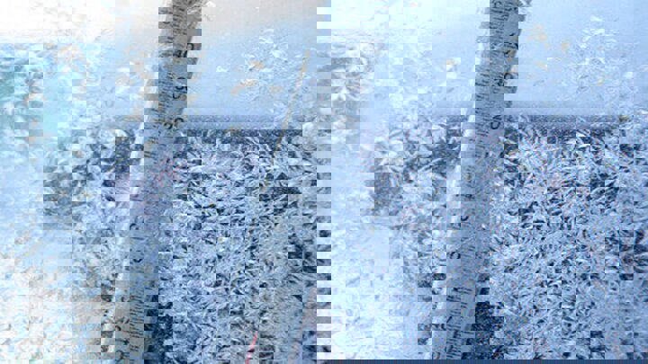 یخبندان اصفهان در آستانه زمستان؛ دمای بوئین به ۲۰ درجه زیر صفر رسید