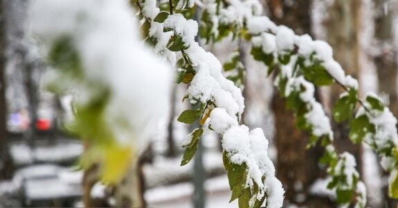 پیام سپاهان