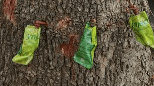 پیام سپاهان