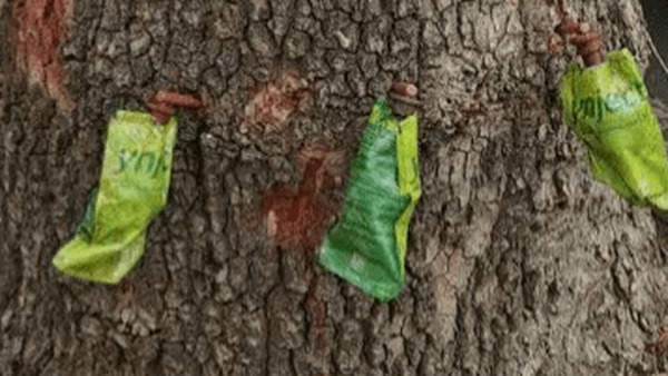 متخصصان اصفهانی، یک فناوری را از انحصار اسپانیا درآوردند