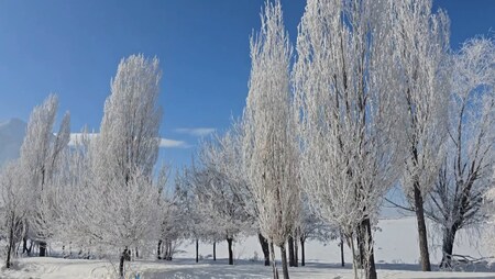 پیام سپاهان