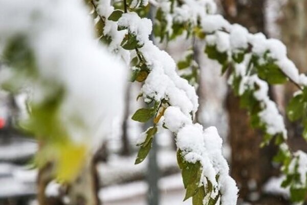 پیام سپاهان