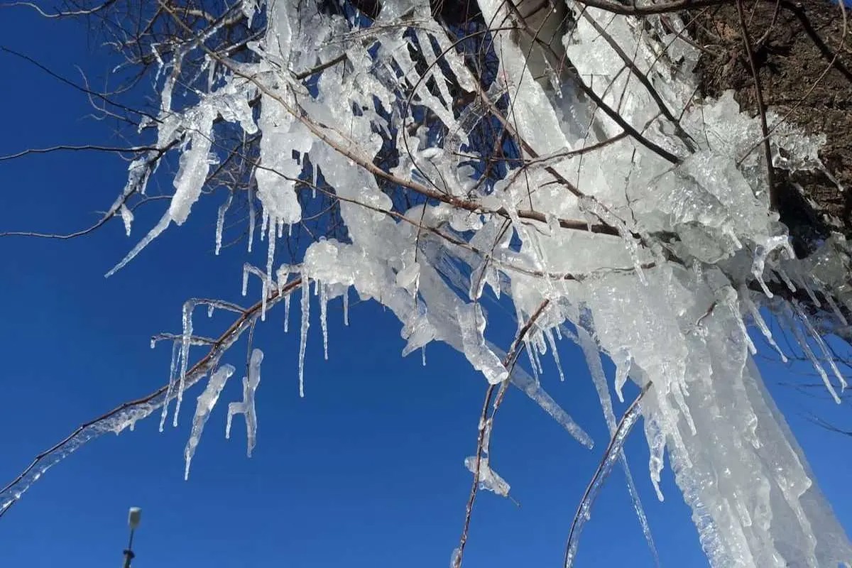 یخبندان و کاهش محسوس دما در راه است