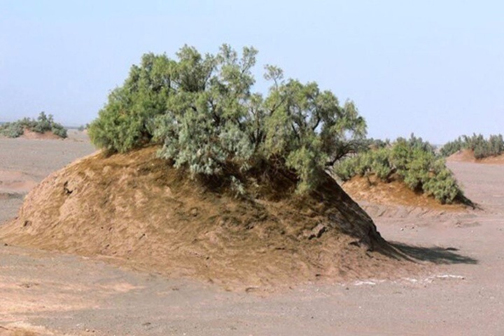 ثبت ملی نبکاهای آبرشیرین کاشان