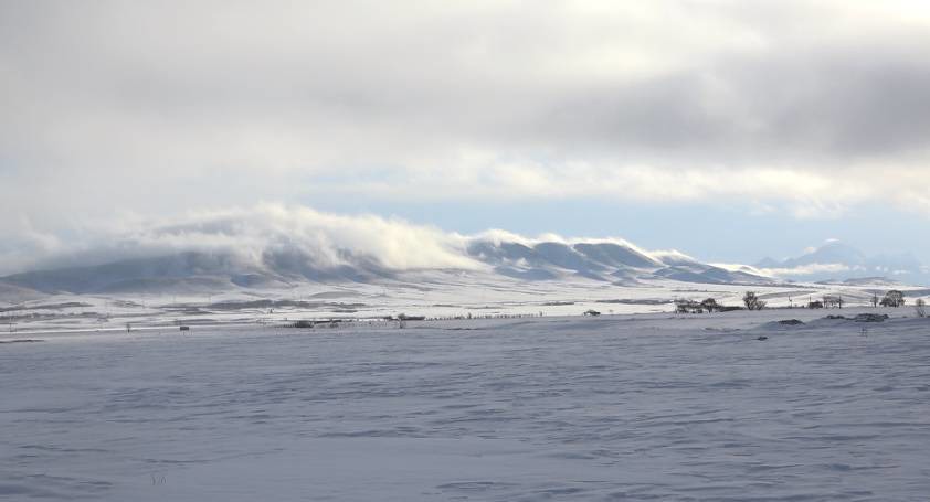 بارش پراکنده برف