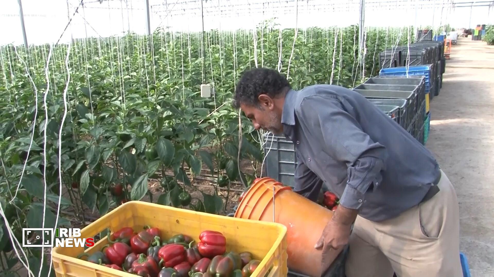 پیام سپاهان